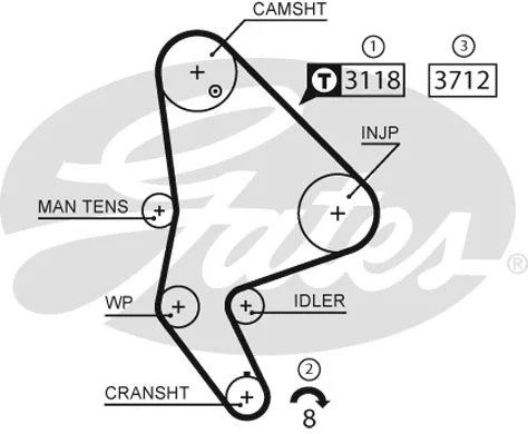 Timing Belt Kit (K025558XS)