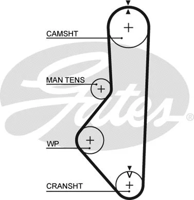 Timing Belt (5085)