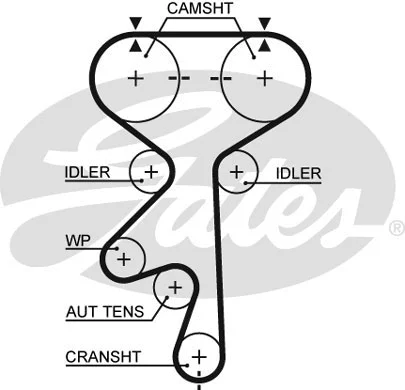 Timing Belt (5408XS)