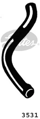 Radiator Hose (3531)