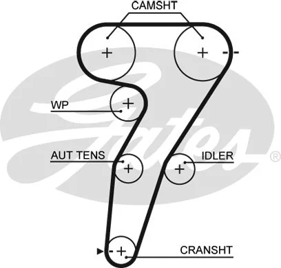 Water Pump & Timing Belt Kit (KP25469XS)