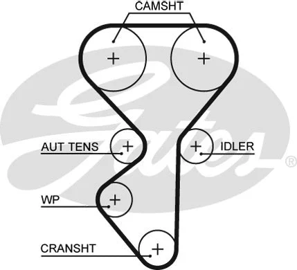 Timing Belt Kit (K015631XS)