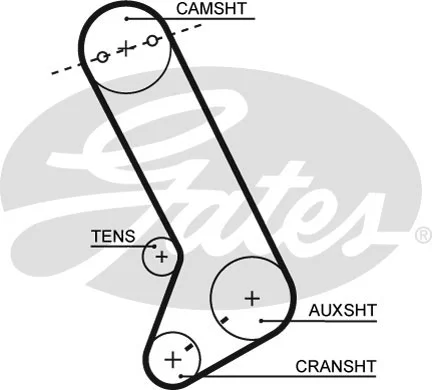 Timing Belt (T071)