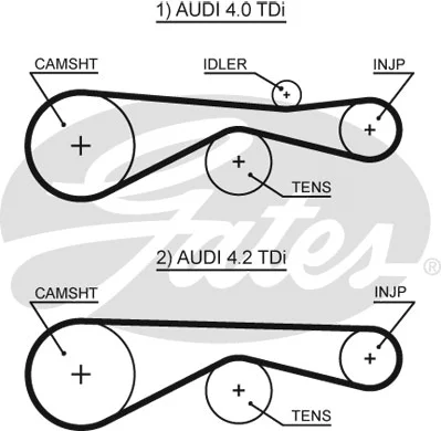 Timing Belt (5613XS)