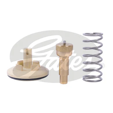 Thermostat, coolant (TH41887G1)