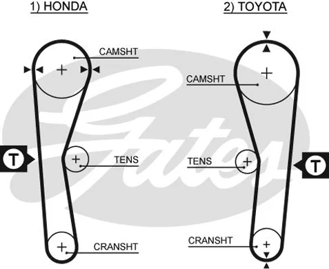 Timing Belt (5027)