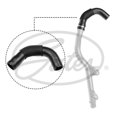Radiator Hose (05-4253)