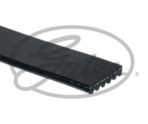 V-Ribbed Belt