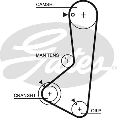 Timing Belt (5372XS)