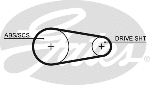 Timing Belt (5203XS)