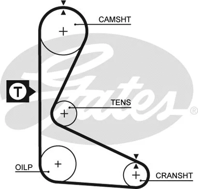 Timing Belt (5109)