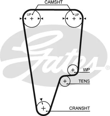 Timing Belt (5506XS)