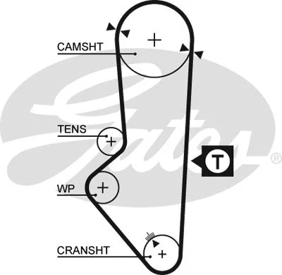 Timing Belt (5253XS)