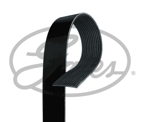 V-Ribbed Belt (12PK1890HD)