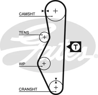 Timing Belt (5521)