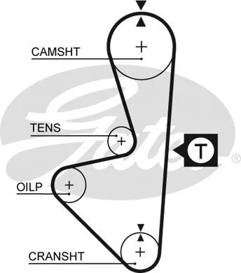 Timing Belt (5314XS)