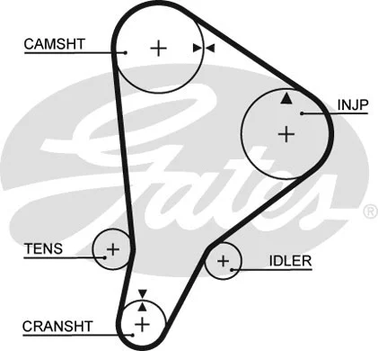 Timing Belt (5118)