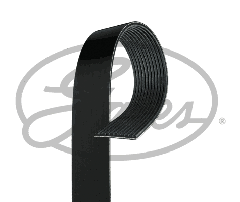 V-Ribbed Belt (11PK2040HD)