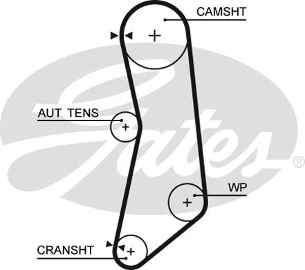 Timing Belt (5626XS)