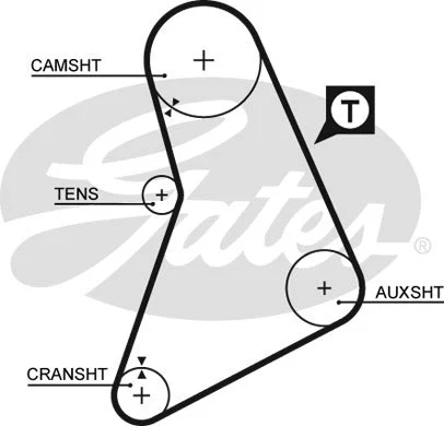 Timing Belt (5069)