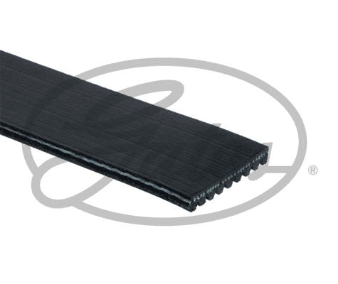 V-Ribbed Belt