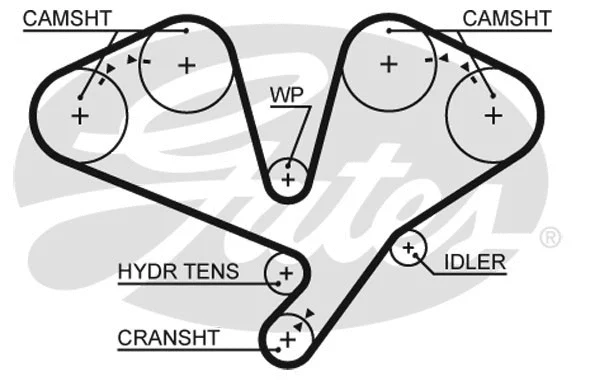 Timing Belt (5659XS)