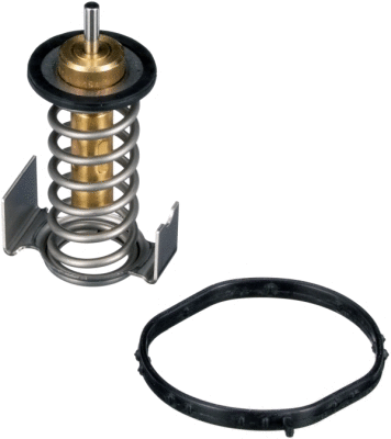 Thermostat, coolant (TH64290G1)