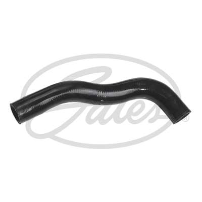 Radiator Hose (3536)