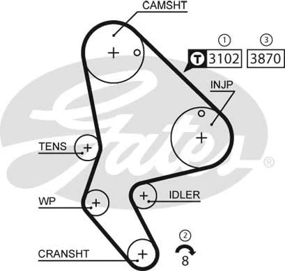 Timing Belt (5523XS)
