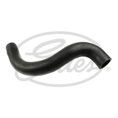 Radiator Hose (3582)