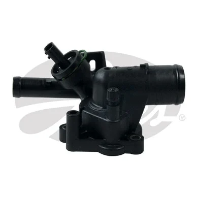 Thermostat, coolant (TH46387G1)