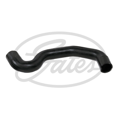 Radiator Hose (3817)