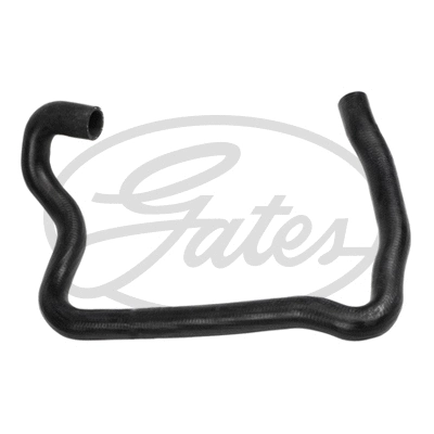 Radiator Hose (3534)