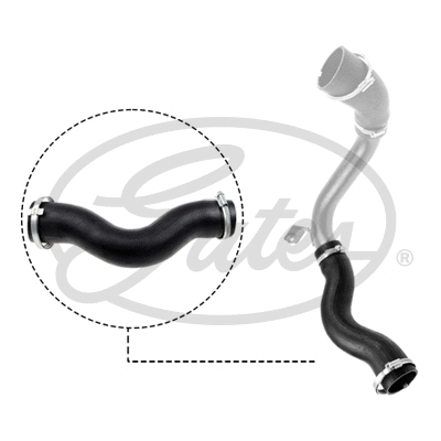 Charge Air Hose (09-0641)