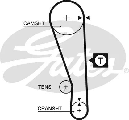 Timing Belt (5036)