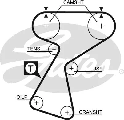 Timing Belt (5244XS)