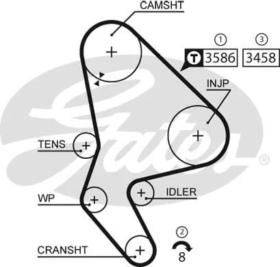 Timing Belt Kit (K035524XS)