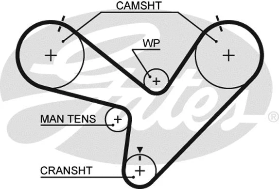 Timing Belt (5366XS)