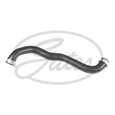 Radiator Hose (3954)