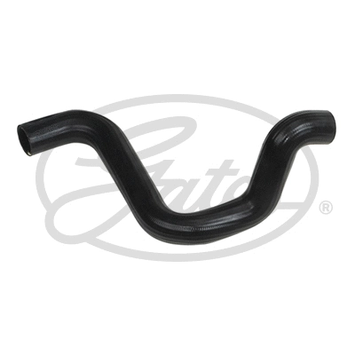 Radiator Hose (3516)