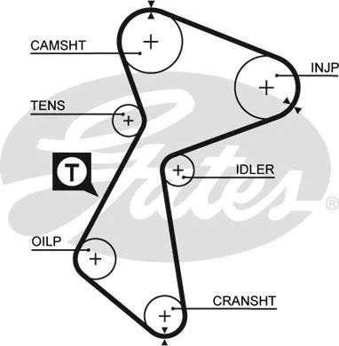 Timing Belt (5212)