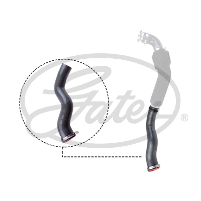 Charge Air Hose (09-0950)