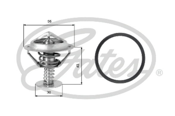 Thermostat, coolant (TH05377G1)