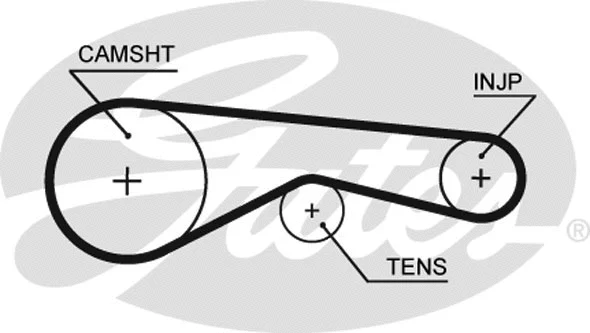 Timing Belt (5625XS)