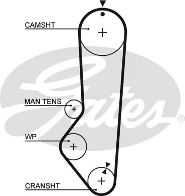 Timing Belt (5224XS)