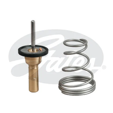 Thermostat, coolant (TH49788G1)