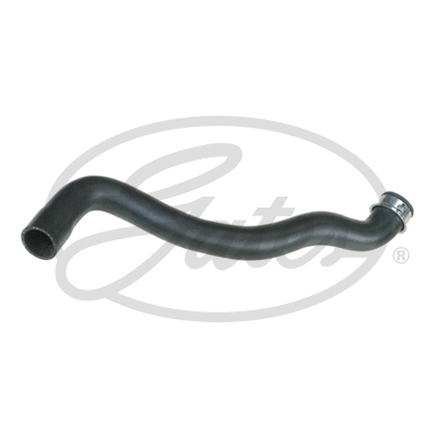 Radiator Hose (05-3361)