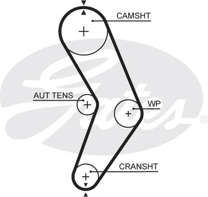 Timing Belt Kit (K015662XS)