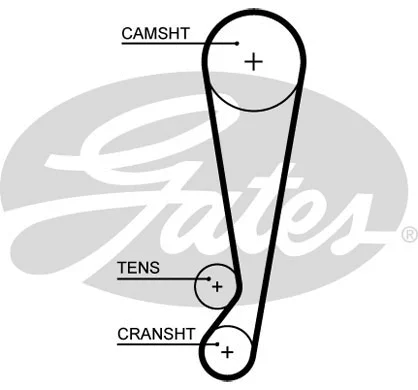 Timing Belt (5664XS)