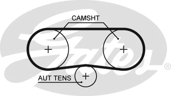 Timing Belt Kit (K025565XS)